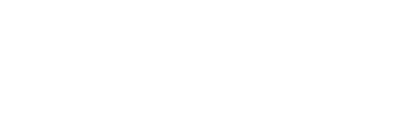 Brevis